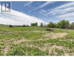 10054 Highway 9, Adjala Tosorontio, ON L0G1L0 Photo 12