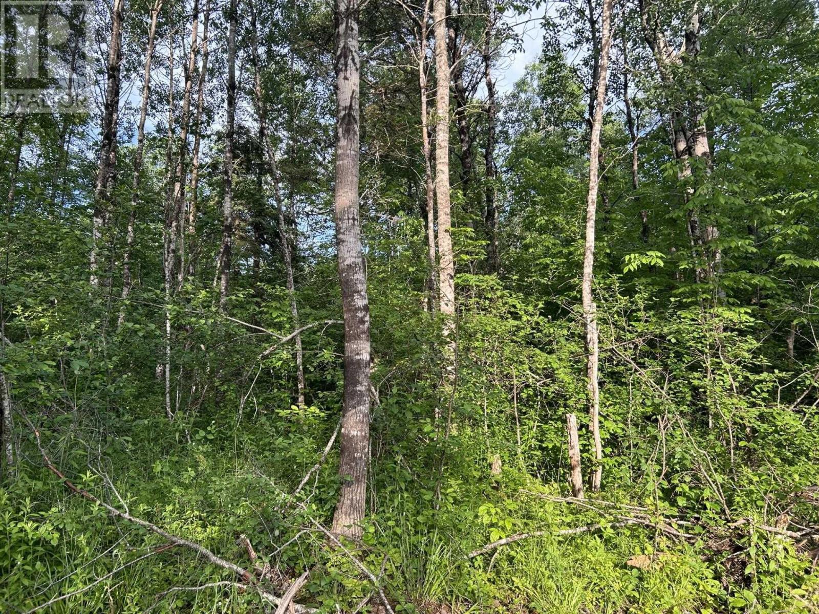 Property 20 of 20 of Lot K1 Greenfield Road
