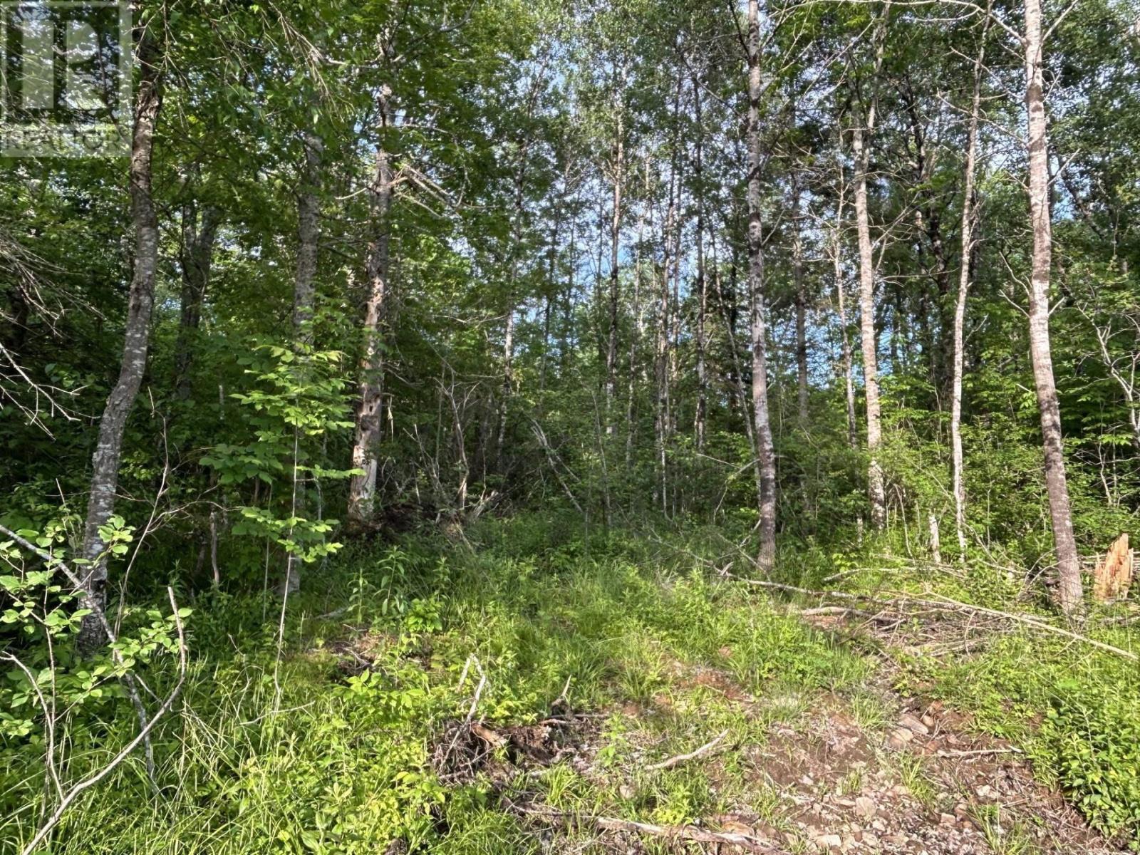 Property 4 of 20 of Lot K1 Greenfield Road