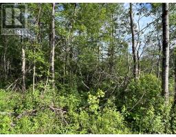 Lot K1 Greenfield Road, Greenfield, NS B4P2R1 Photo 10