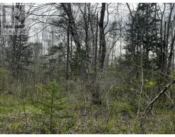 Lot K1 Greenfield Road, Greenfield, NS B4P2R1 Photo 6