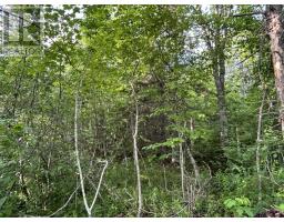 Lot K1 Greenfield Road, Greenfield, NS B4P2R1 Photo 8