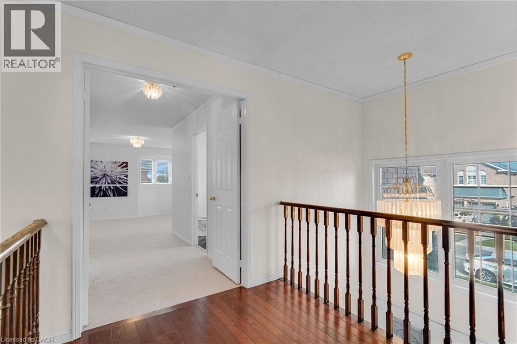 7419 BLACK WALNUT Trail - 42