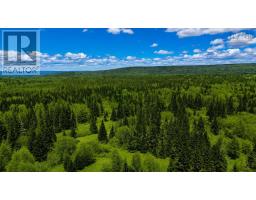 Macrae Road, Balmoral Road, Balmoral, NS B0E1V0 Photo 9
