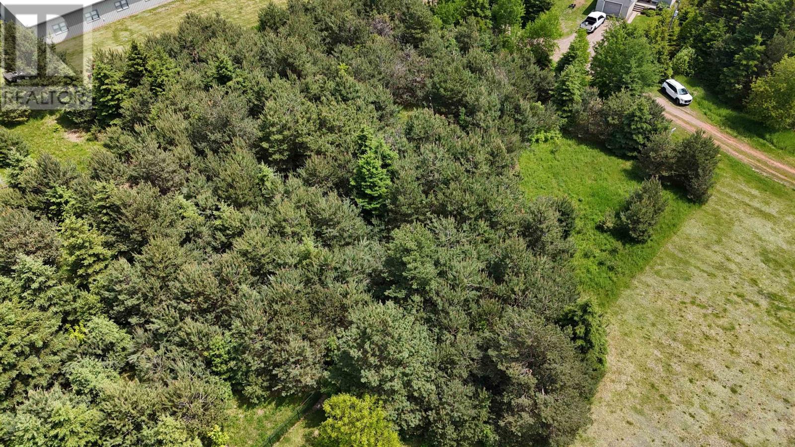 4 Melissa Analayne Road, Mill River East — photo 3