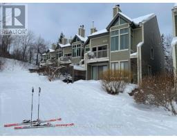224 - 796404 Grey 19 Road, Blue Mountains, ON L9Y0N8 Photo 29