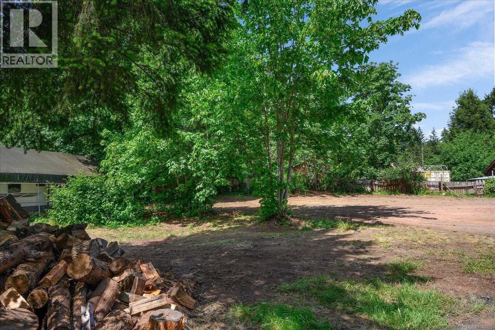 Cleared lot featuring a central deciduous tree, surrounding mature evergreen foliage, and a gravel surface