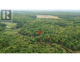 254 Expressway Road, Perry, ON P0A1J0 Photo 7
