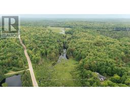 254 Expressway Road, Perry, ON P0A1J0 Photo 6