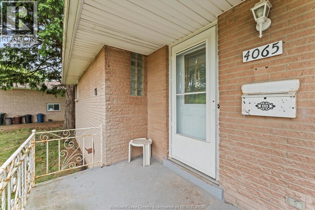 4065 Dougall - 5