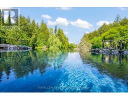 Laundry room - 15 River Bluff Path, Guelph/eramosa, ON N0B2K0 Photo 11