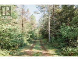 387 Brennan's Road, Joly, ON P0A1X0 Photo 21