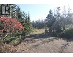 Lot 10-02 Golden Mile Drive, Grand Manan, NB E5G1N1 Photo 21
