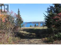 Lot 10-01 Golden Mile Drive, Grand Manan, NB E5G1N1 Photo 20