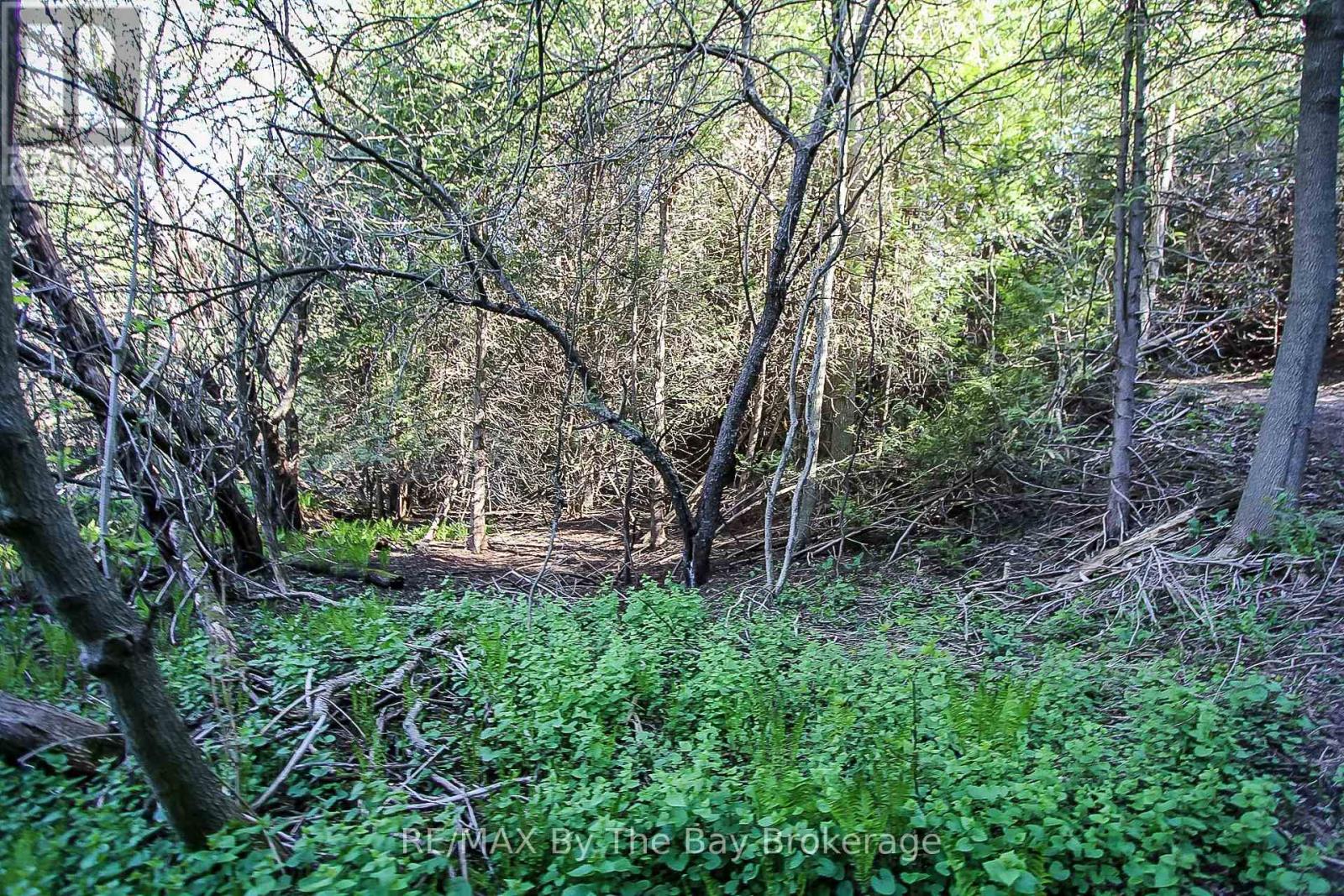 630 SUNNIDALE ROAD S - 34
