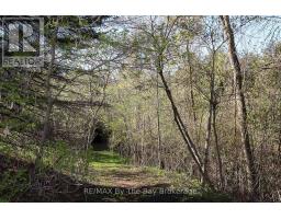 630 Sunnidale Road S, Wasaga Beach, ON L9Z1J7 Photo 29