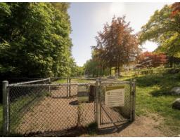 13 2978 159 Street, Surrey, BC V3Z0R1 Photo 38