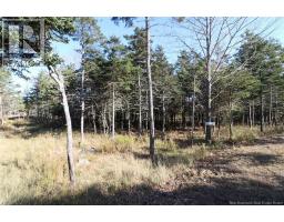Lot 10-05 Golden Mile Drive, Grand Manan, NB E5G1N1 Photo 16