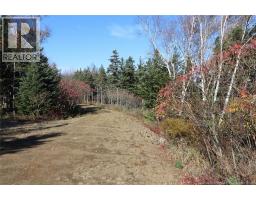 Lot 10-05 Golden Mile Drive, Grand Manan, NB E5G1N1 Photo 24