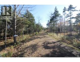 Lot 10-06 Golden Mile Drive, Grand Manan, NB E5G1N1 Photo 17