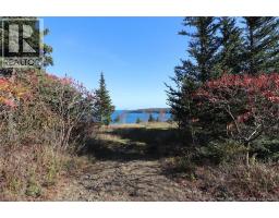 Lot 10-06 Golden Mile Drive, Grand Manan, NB E5G1N1 Photo 19