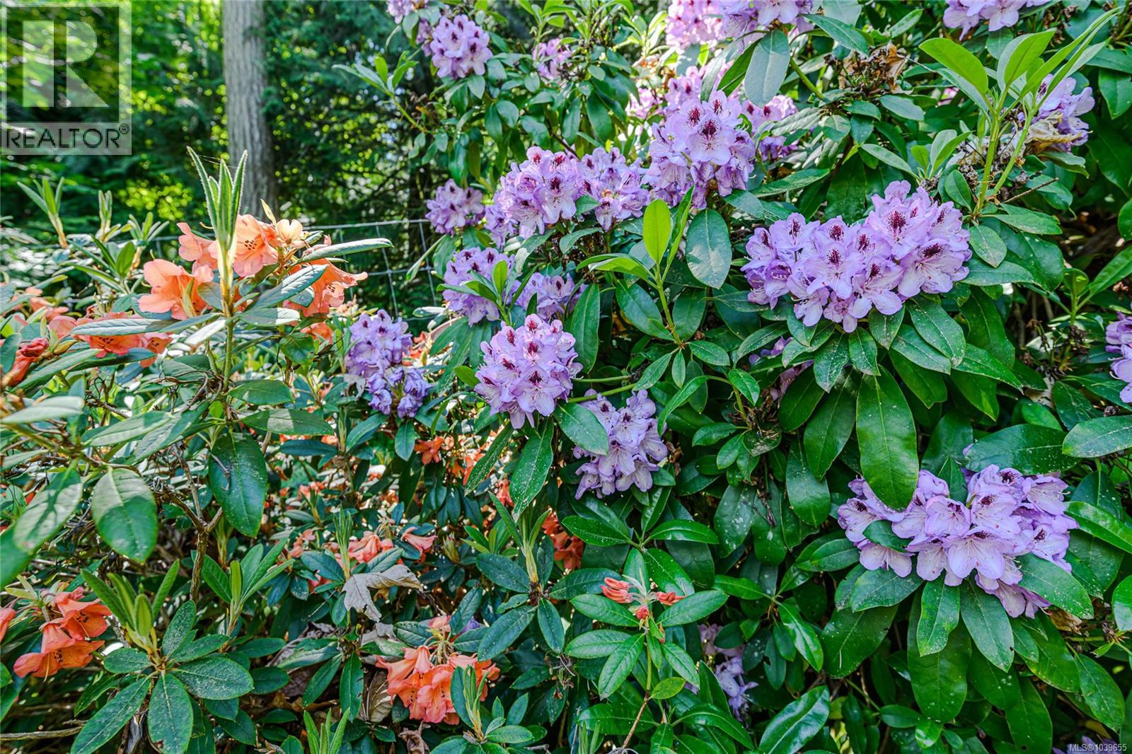 670 Walkers Hook Rd - 49