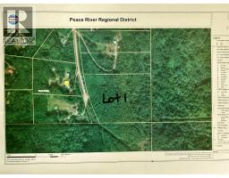 Lot 1 Kendrew Subdivision, Pouce Coupe, BC V0C2C0 Photo 9