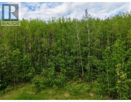 Lot 1 Kendrew Subdivision, Pouce Coupe, BC V0C2C0 Photo 6