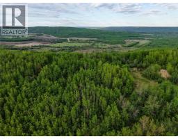 Lot 1 Kendrew Subdivision, Pouce Coupe, BC V0C2C0 Photo 7