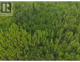 Lot 1 Kendrew Subdivision, Pouce Coupe, BC V0C2C0 Photo 8