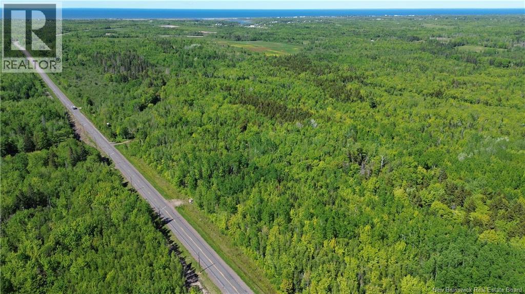 Lot 22-01 Thibodeau Road, Saint-Andre-LeBlanc — photo 3