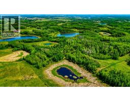 20, 37280 Highway 816, Rural Red Deer County, AB T4N5E2 Photo 16