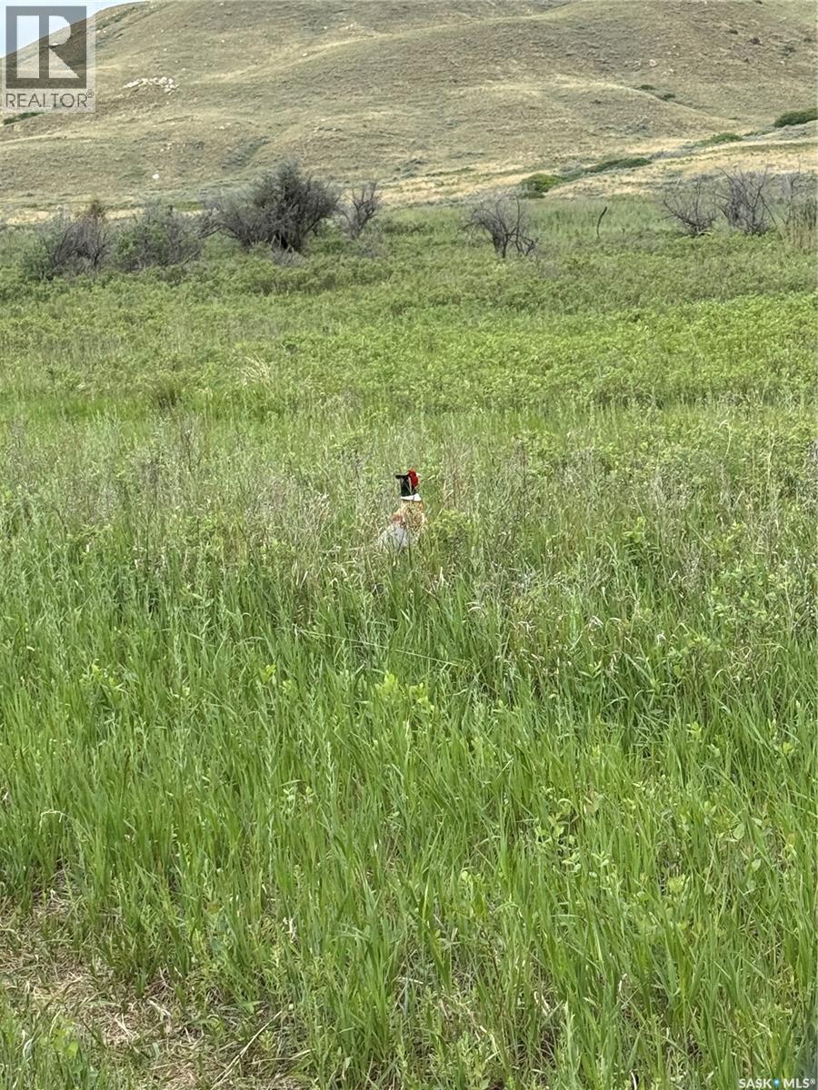 Red Deer River Ranch — photo 15