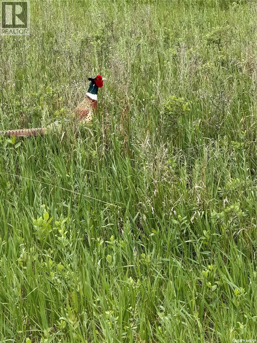 Red Deer River Ranch — photo 26