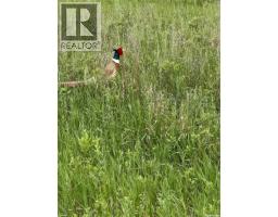 Red Deer River Ranch, Chesterfield Rm No  261, SK S0N1H0 Photo 26
