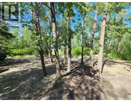 825 Lakeside Avenue, White Bear Ir 70, SK S0C0R0 Photo 7