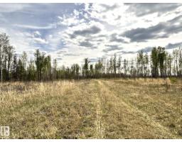 Twp 522 Rrd 90, Rural Yellowhead, AB T0E0T0 Photo 15