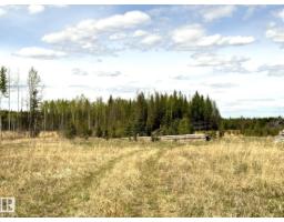 Twp 522 Rrd 90, Rural Yellowhead, AB T0E0T0 Photo 13