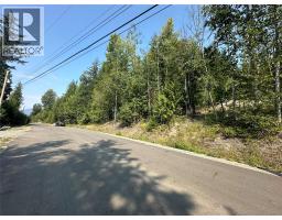 Lot 131 Aspen Road, Anglemont, BC V0E1M8 Photo 8