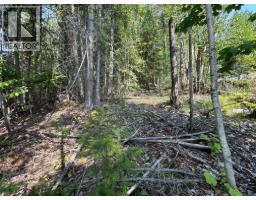 Lot 131 Aspen Road, Anglemont, BC V0E1M8 Photo 6