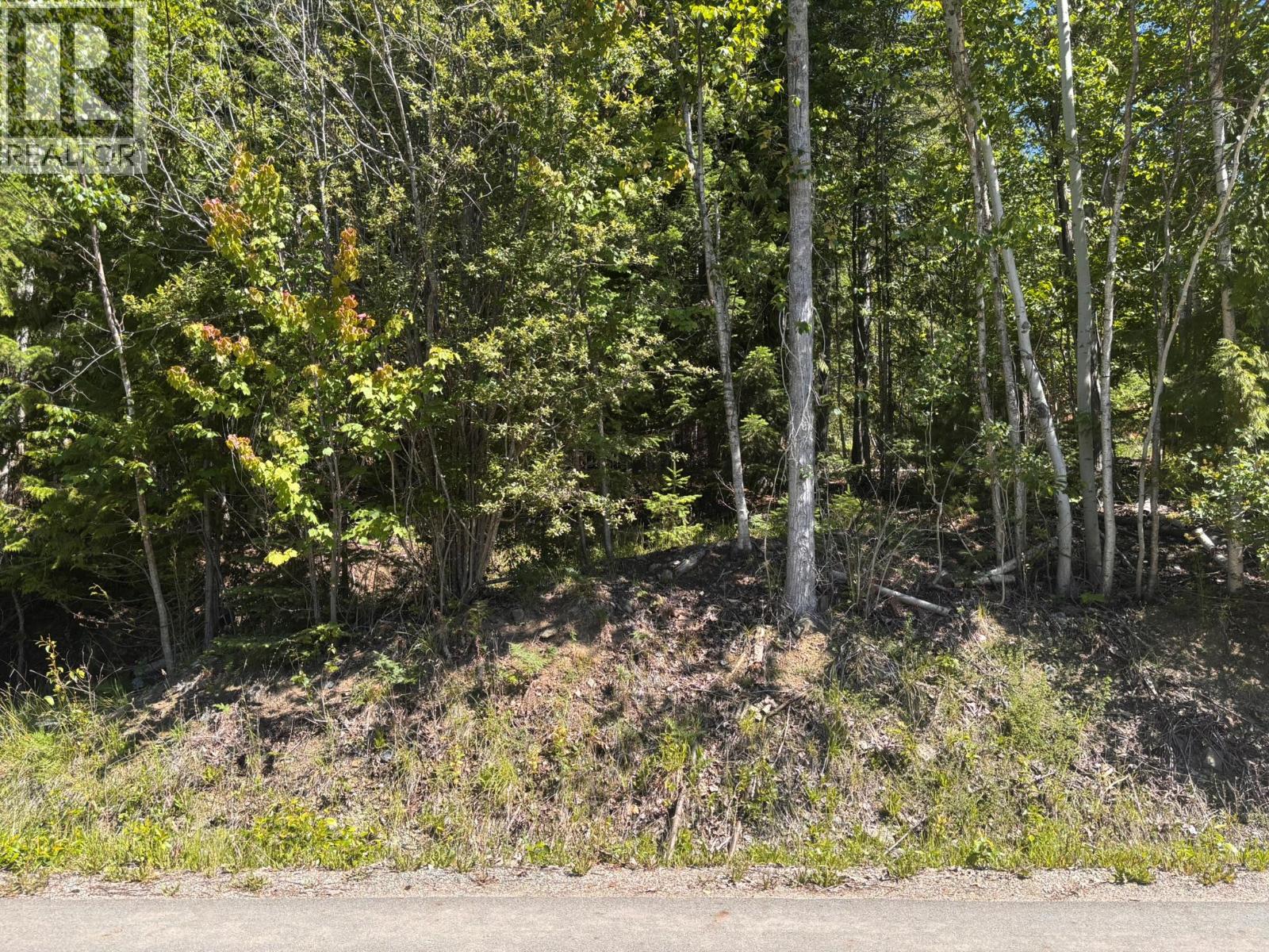 Lot 131 Aspen Road, Anglemont — photo 2