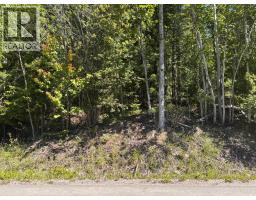 Lot 131 Aspen Road, Anglemont, BC V0E1M8 Photo 7