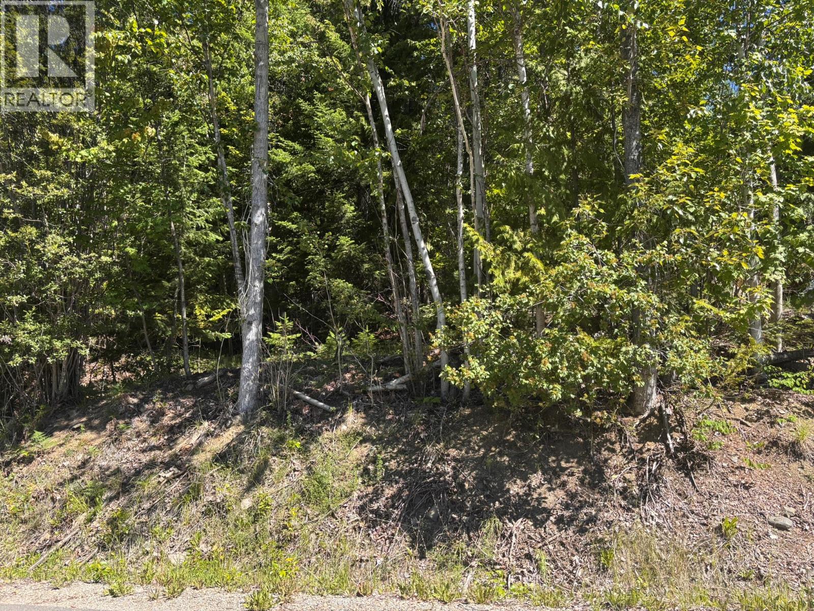 Lot 131 Aspen Road, Anglemont — photo 3