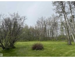 48214 Range Road 85, Rural Brazeau County, AB T7A1S9 Photo 43