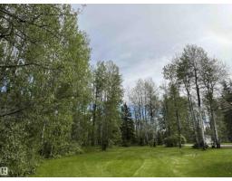 48214 Range Road 85, Rural Brazeau County, AB T7A1S9 Photo 44