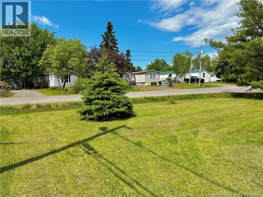 52 Dupuis Avenue - Image 48