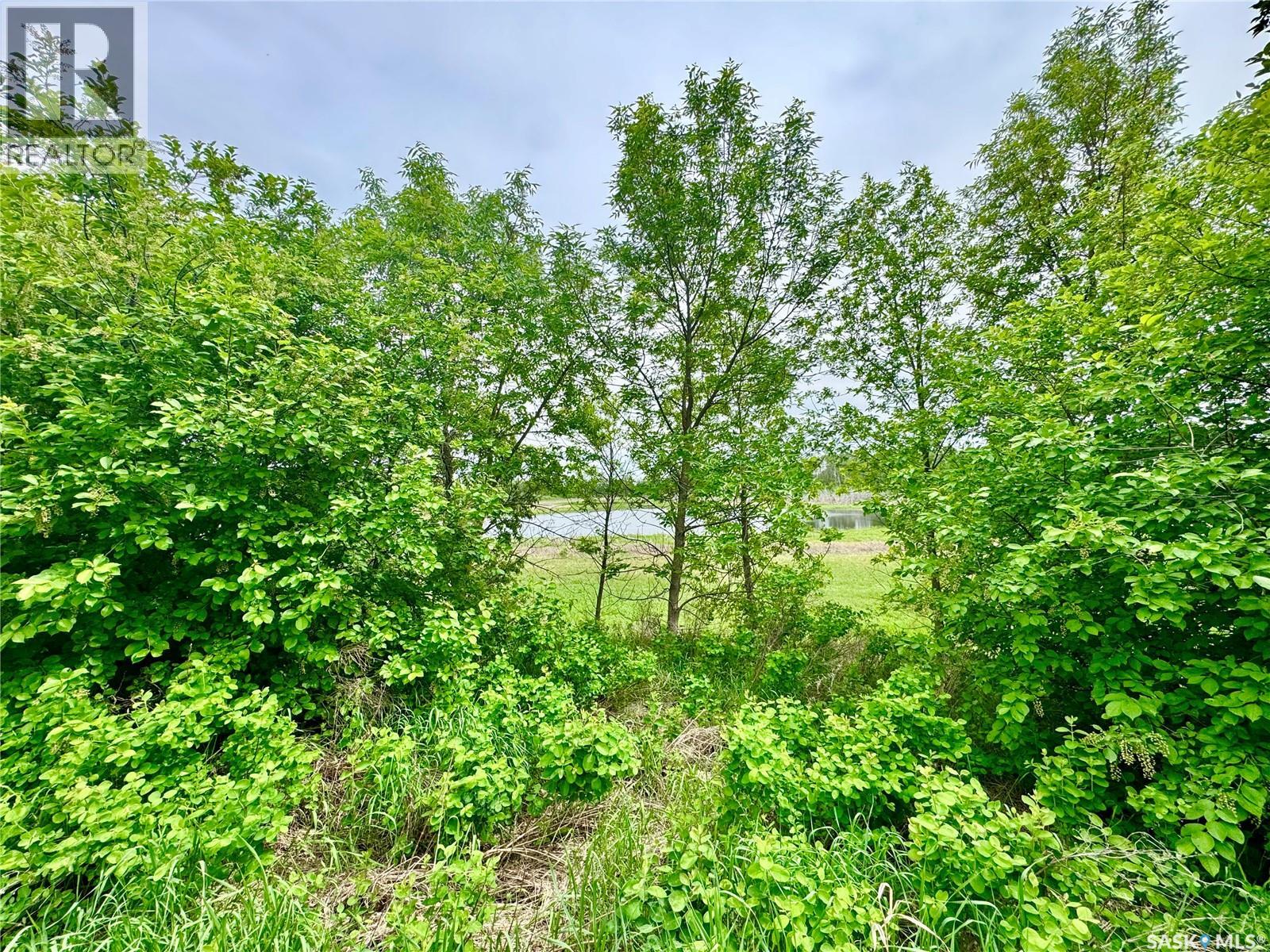 Soles Road Acreage - 49