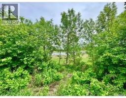 Soles Road Acreage, Prince Albert Rm No  461, SK S6V5P9 Photo 37