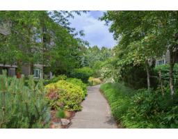 E305 20211 66 Avenue, Langley, BC V2Y0L4 Photo 26