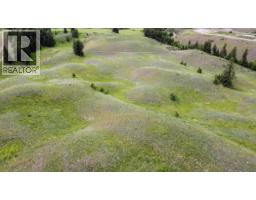 5988 3 Highway, Bridesville, BC V0H1Y0 Photo 16